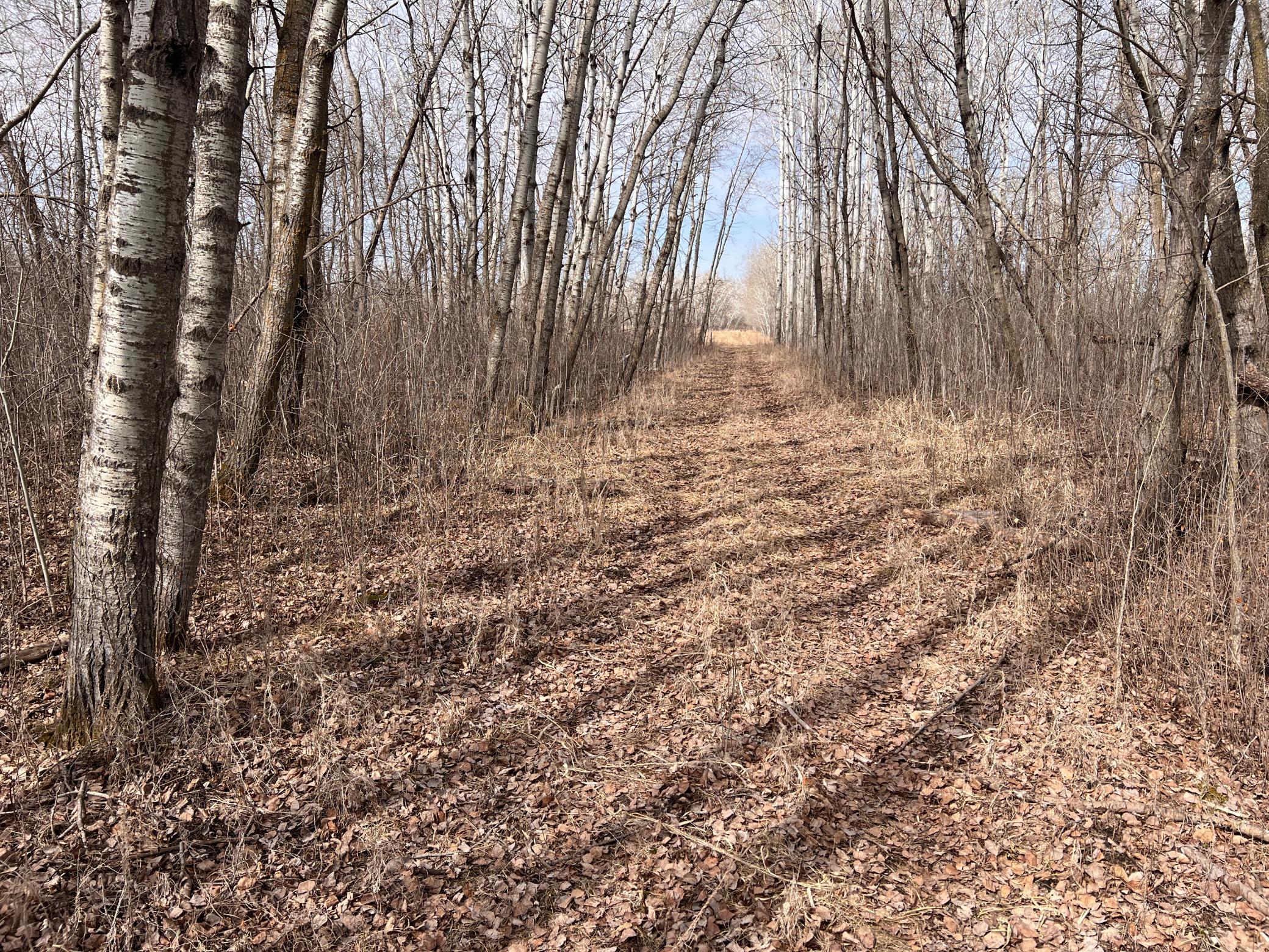 Trail Through the Center of the Property.JPG
