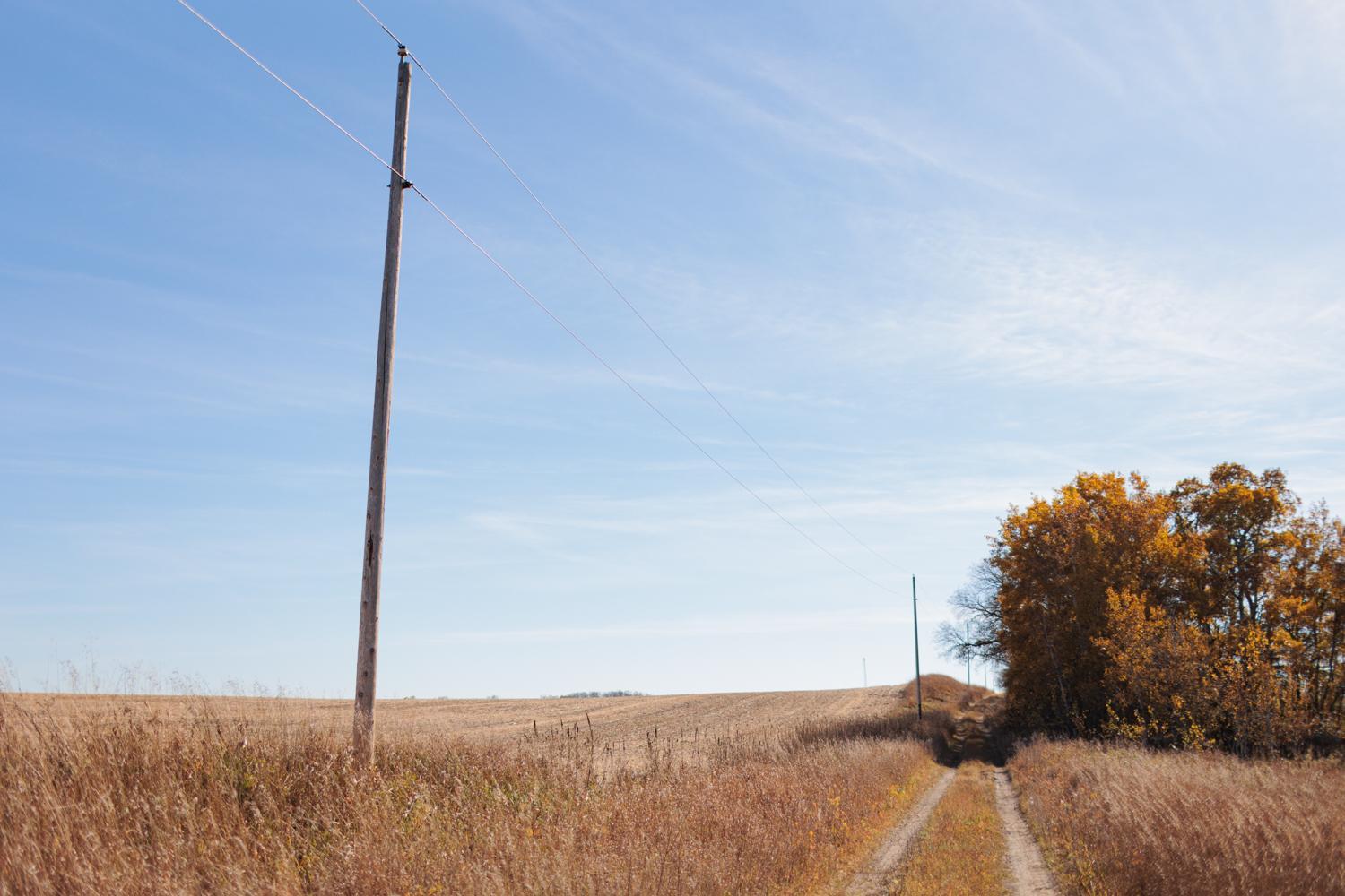 East Side of Property.jpg