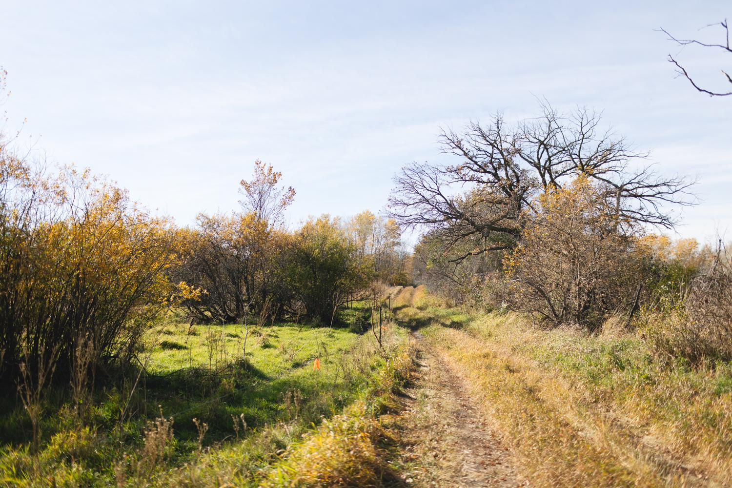 North Side of Property.jpg