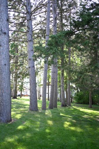 111 E Elm Avenue, Upsala, MN 56384