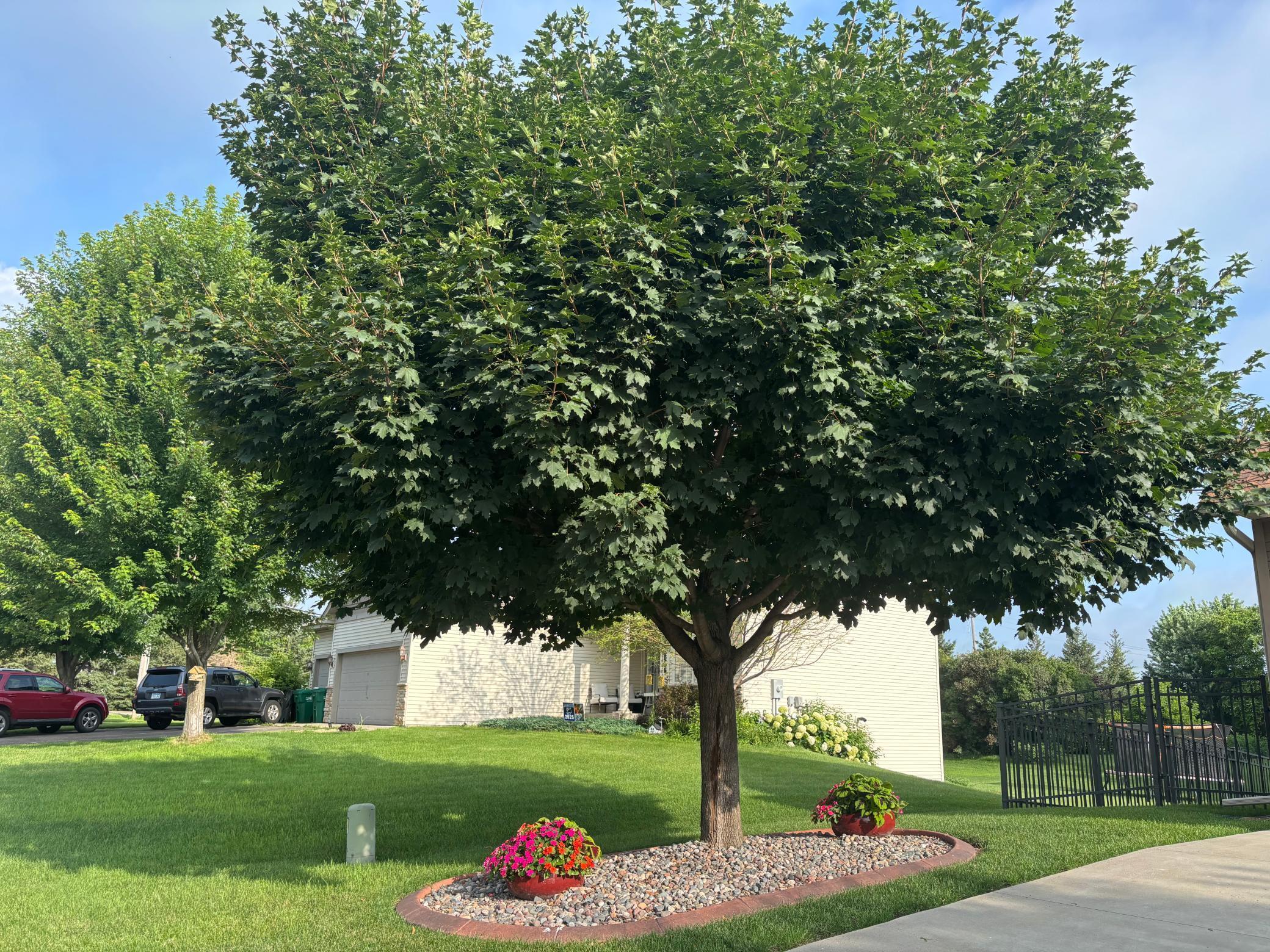 3) 69566-69ceda6921bed.jpeg