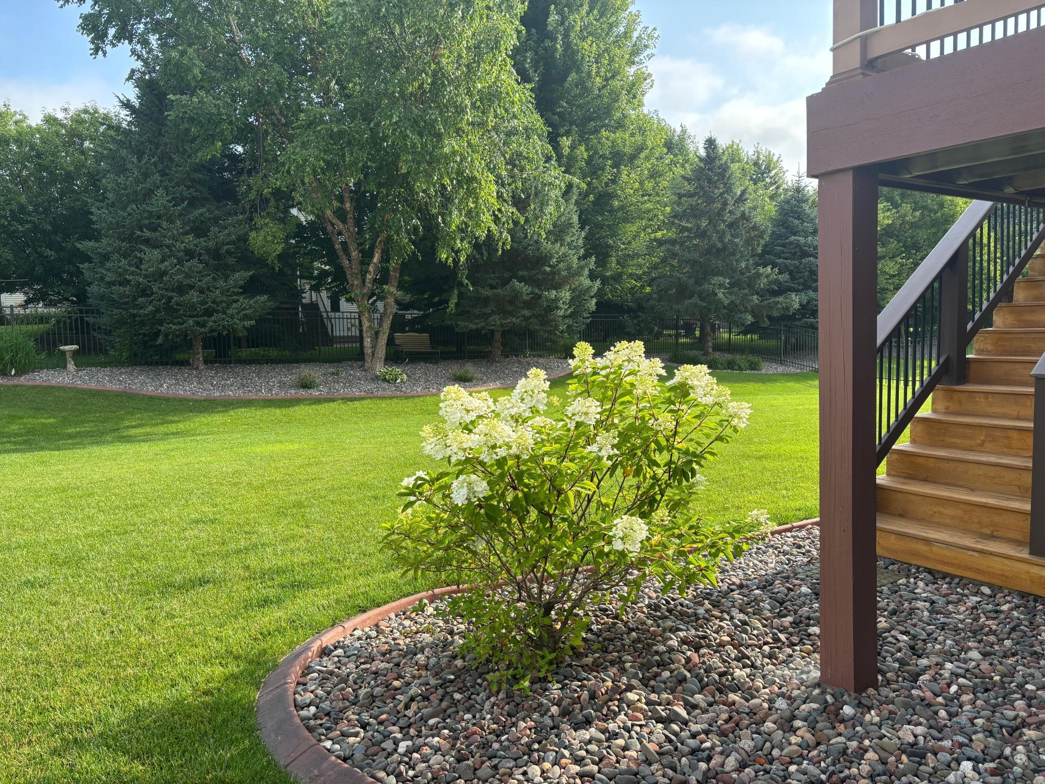 40) 69566-69cee2ce0bfd2.jpeg