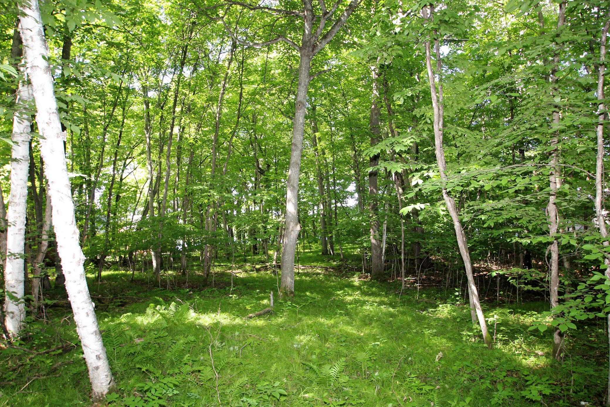 Pelican Lake - 100 X 240 Foot Lot.JPG