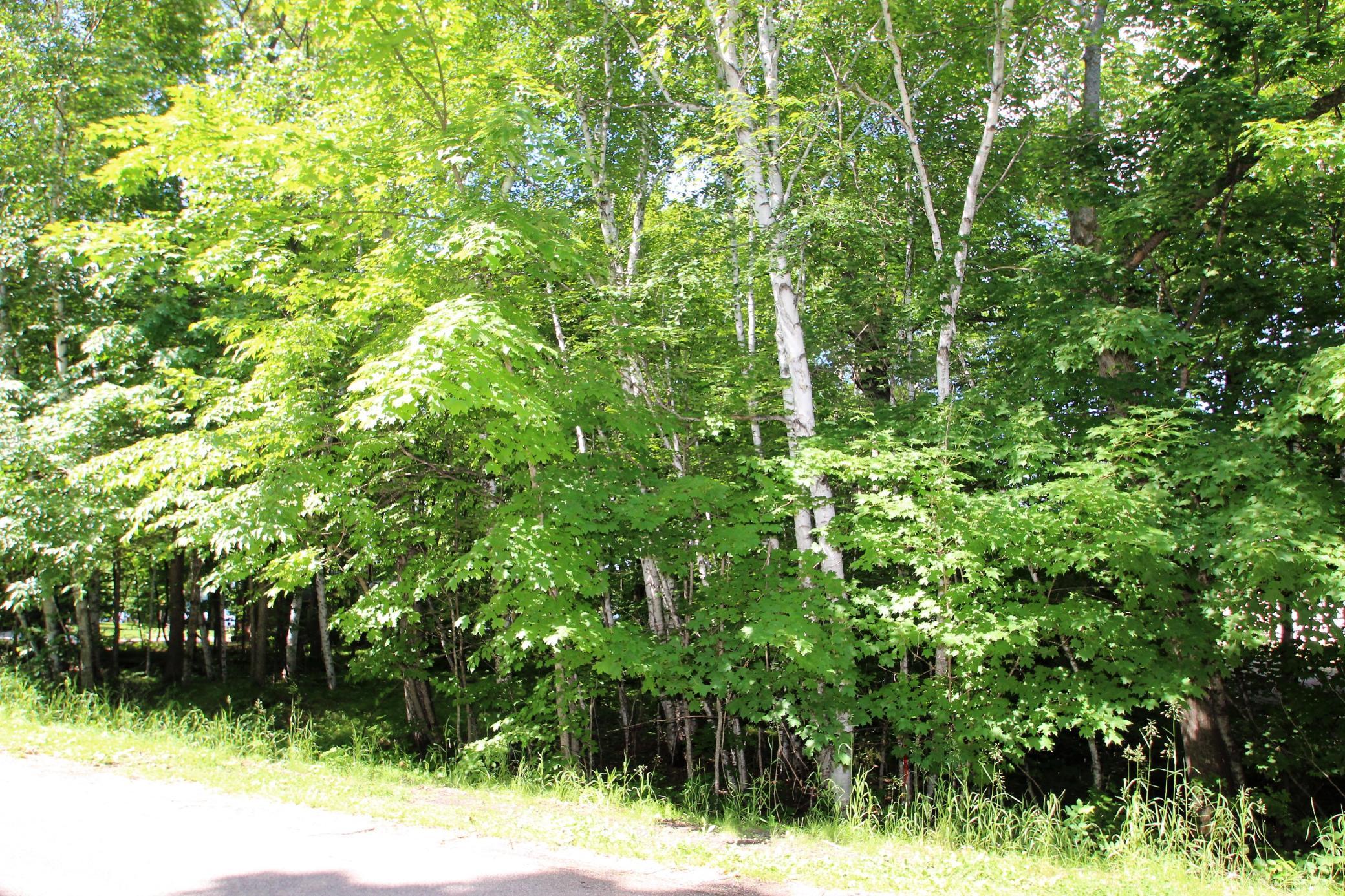 View From The Road.JPG