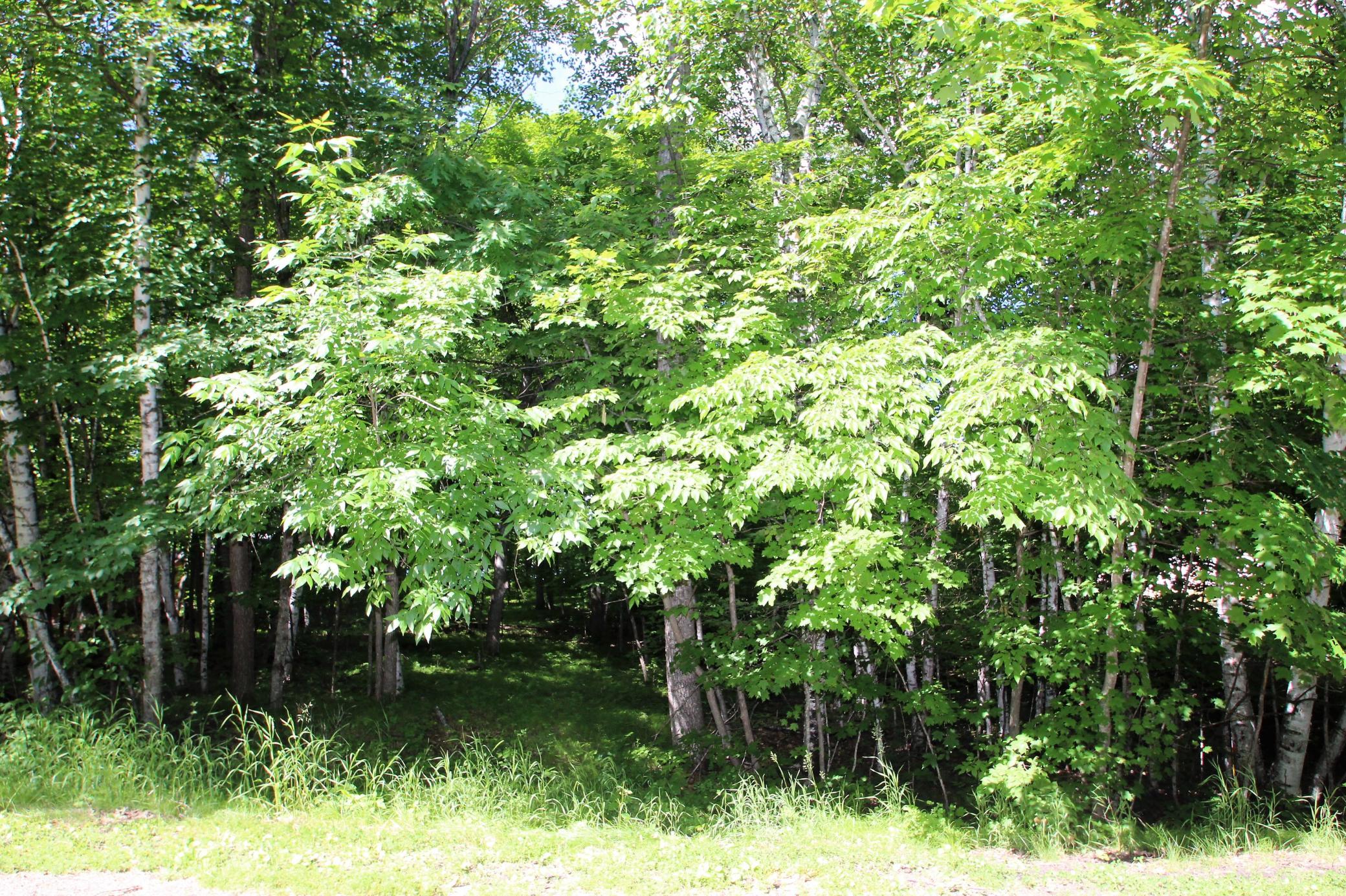 6 View From The Road.JPG