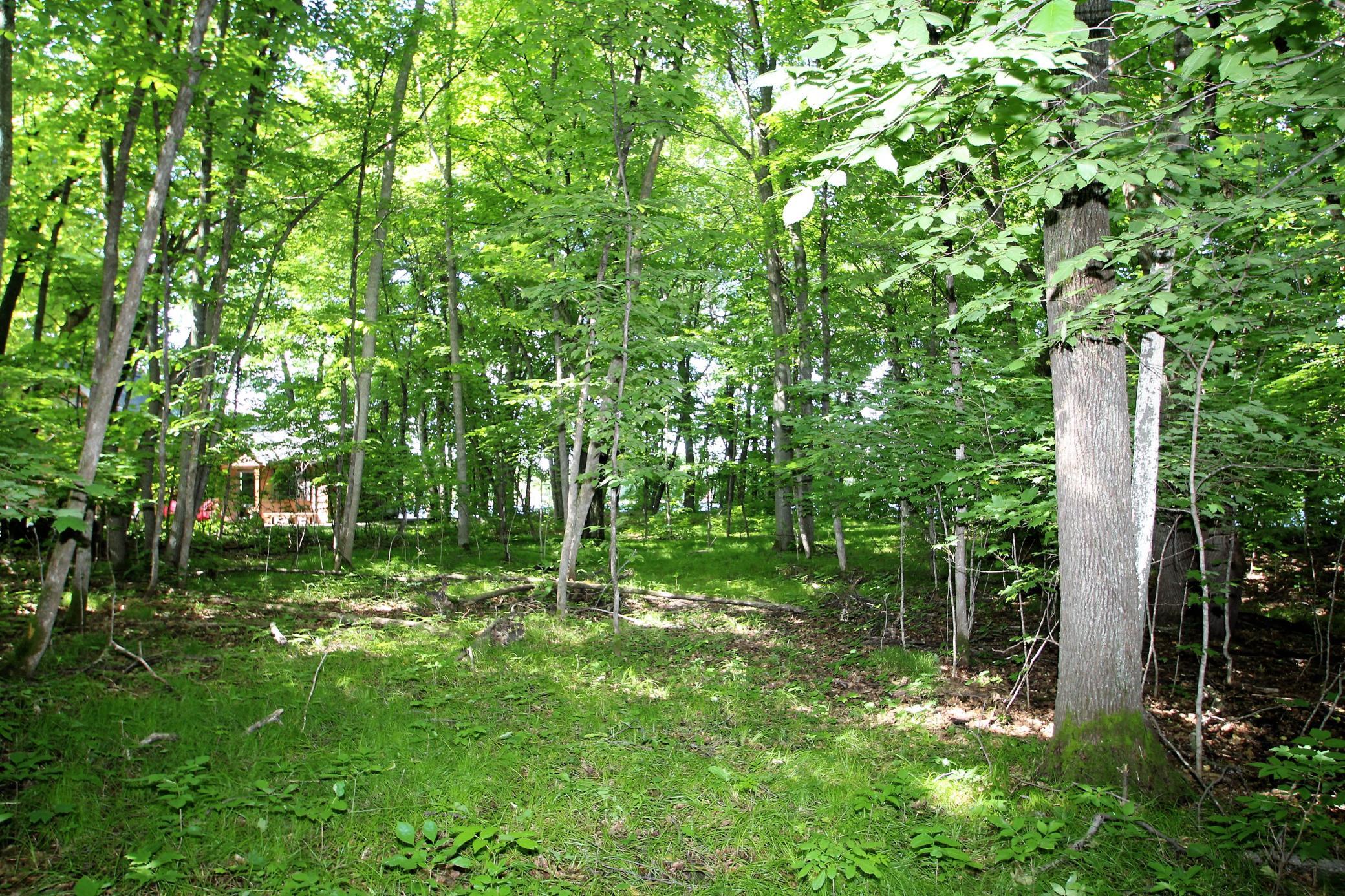 Level 100 X 240 Foot Lot.JPG