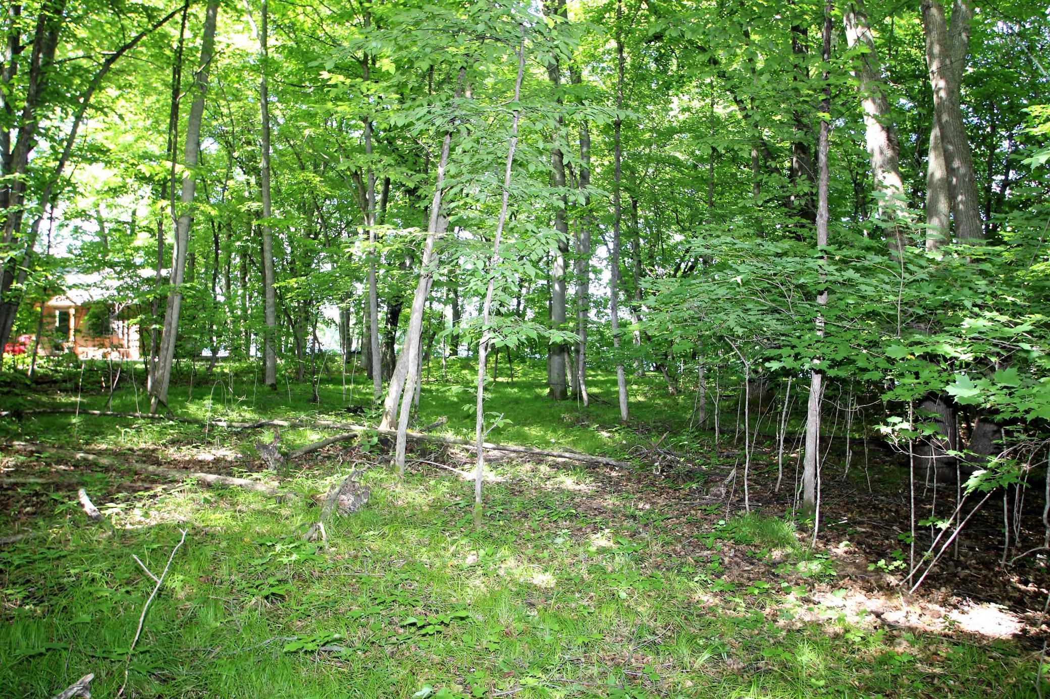 Large Level Building Site.JPG