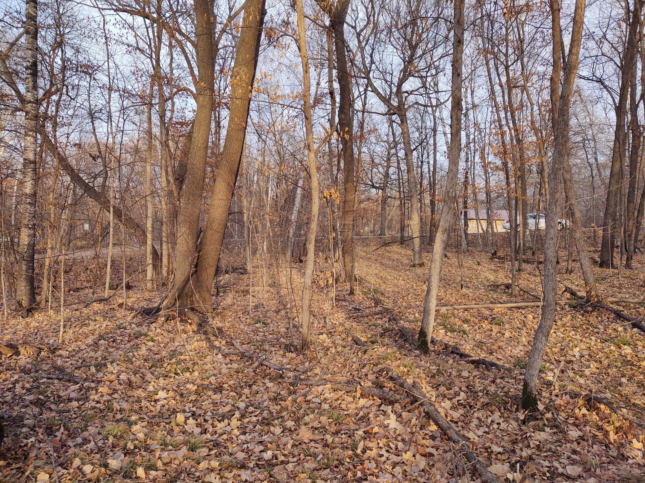 View Toward Road.jpg