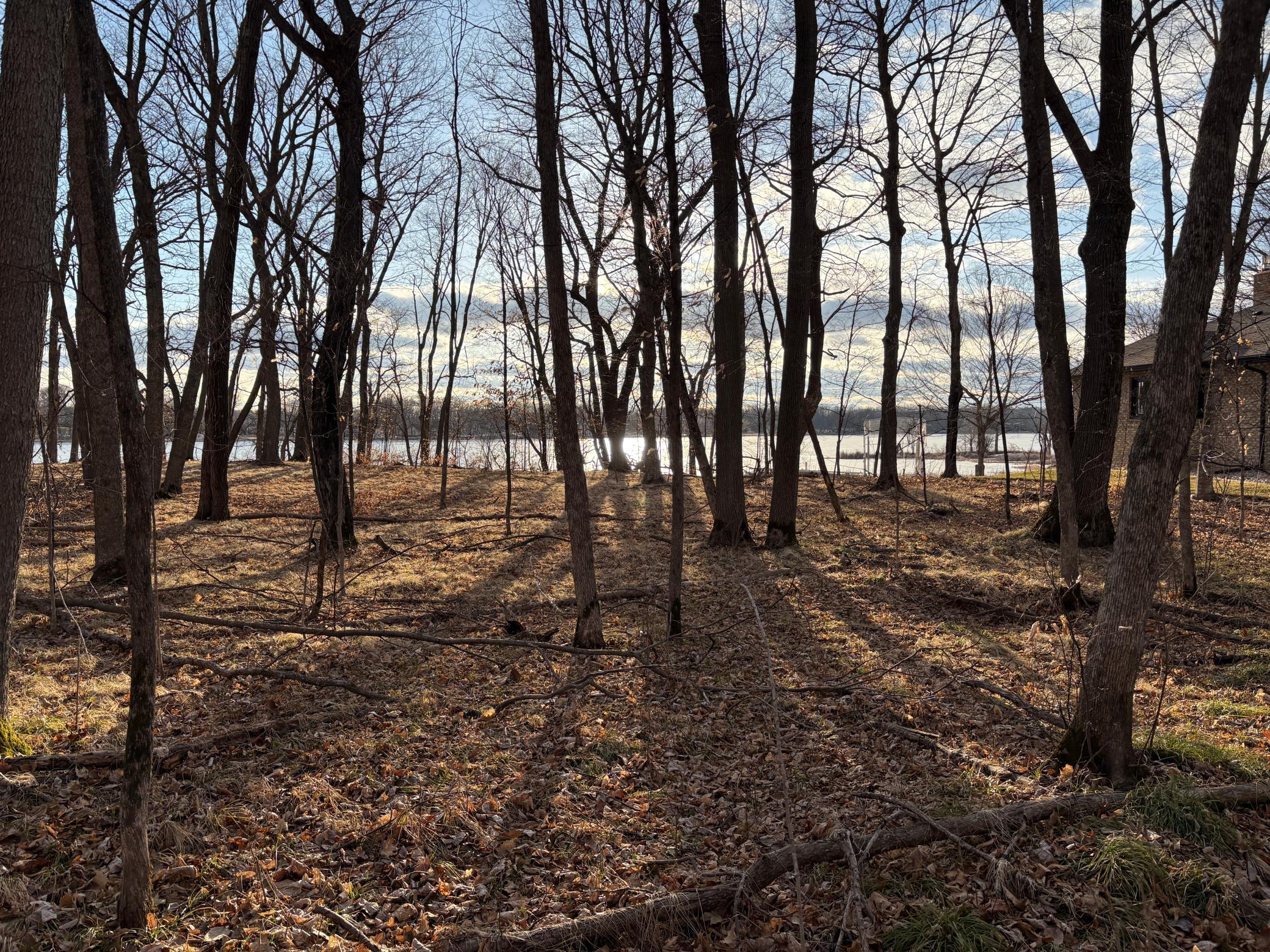View Looking West.JPG