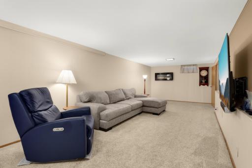 3719 Baillif Place, Minneapolis, MN 55431
