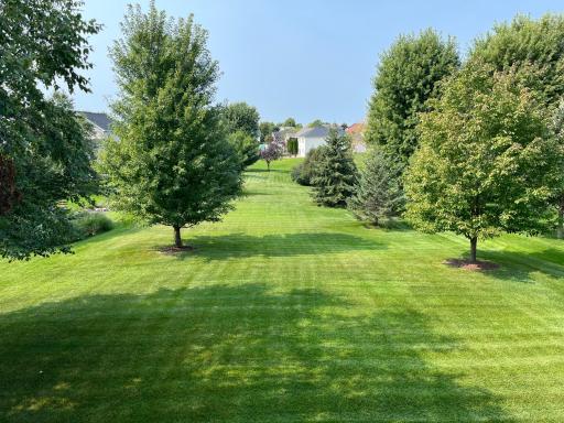 Large 0.7 Acre Lot Giving You Plenty of Space and Privacy!