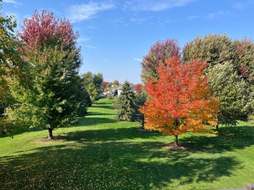 Beautiful Fall Scenery When Leaves Changing Colors!