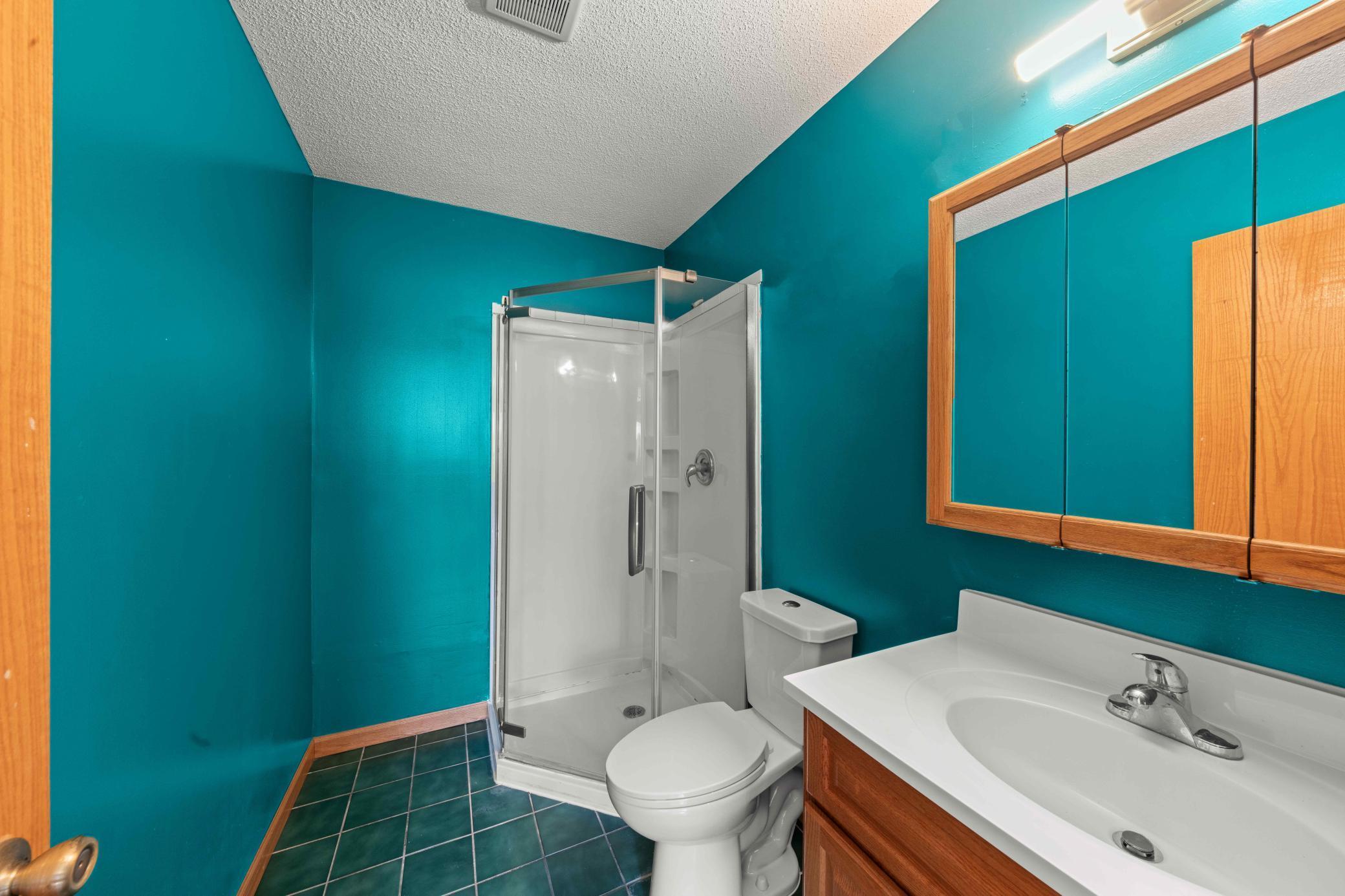 Lower level bathroom