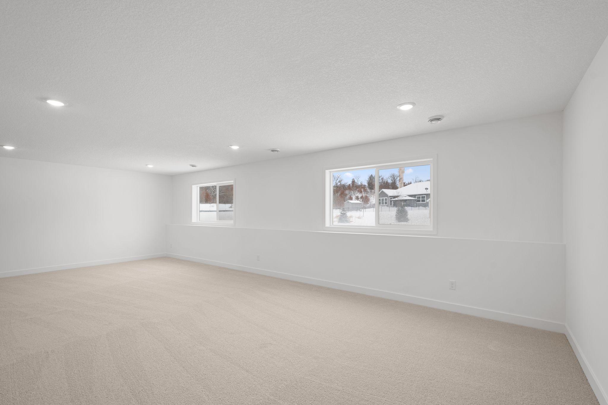 Lower level rec room
