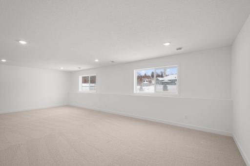 Lower level rec room