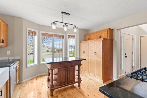 14075 Teal Court, Rogers, MN 55374