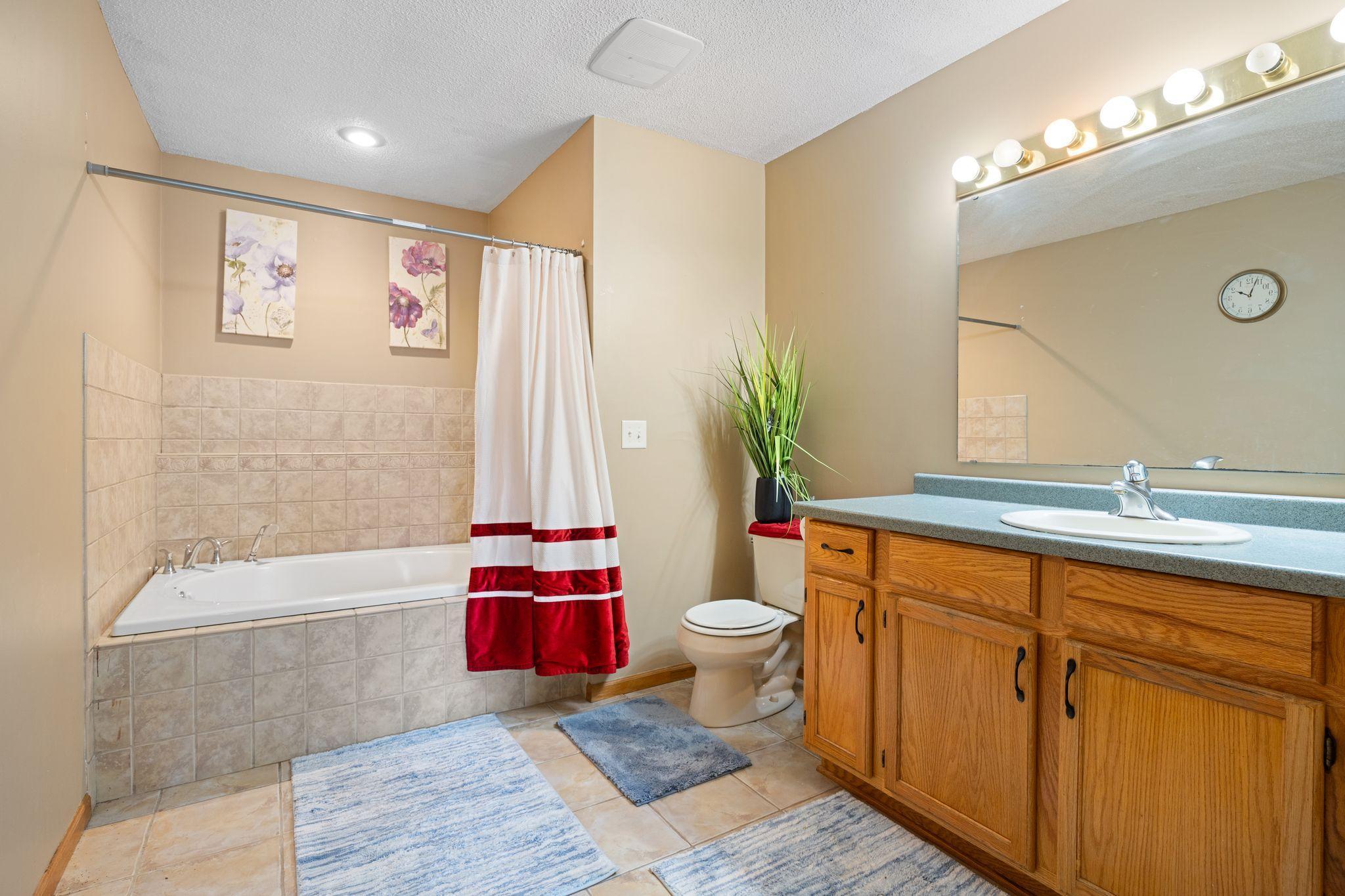 Lower Level Bathroom