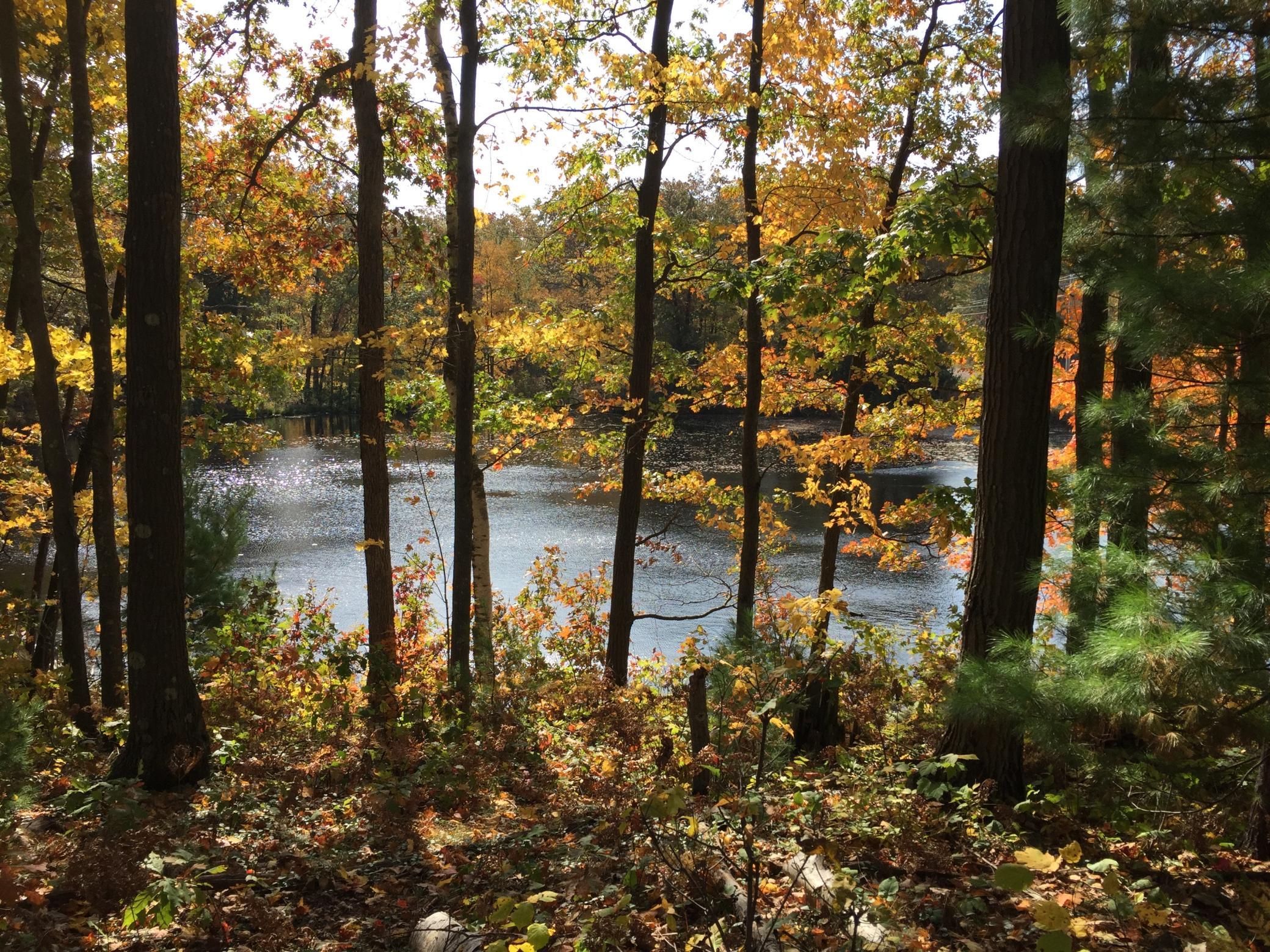 Property photo for XXX Old Highway 63, Barronett, WI 54871