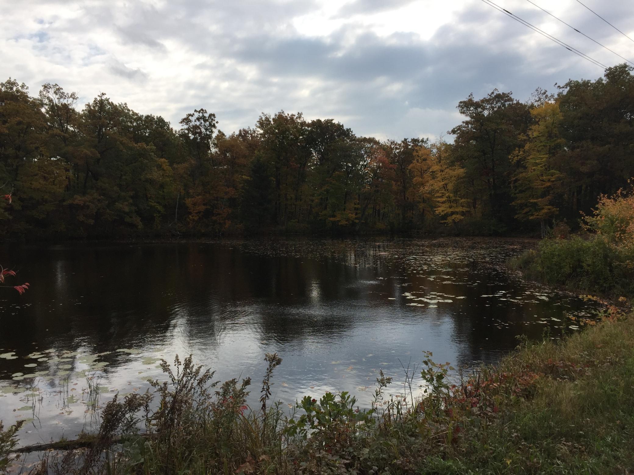 IMG_6176.jpeg