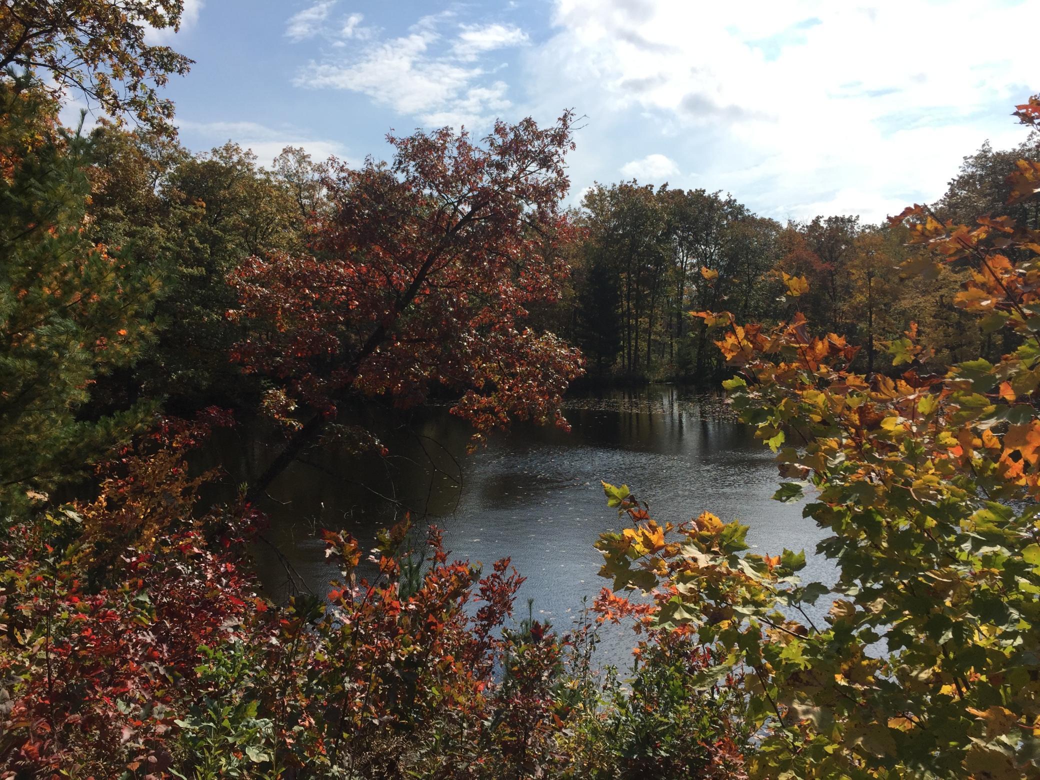 IMG_6188.jpeg