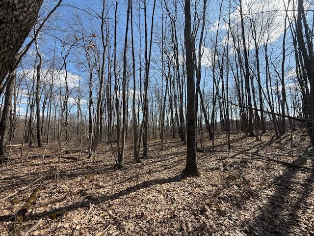 image6(4).jpeg