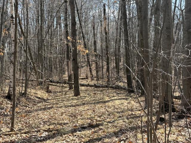 image5(5).jpeg