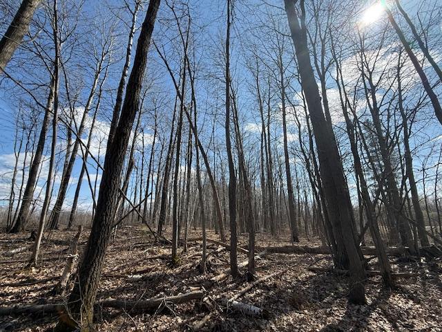 image6(5).jpeg