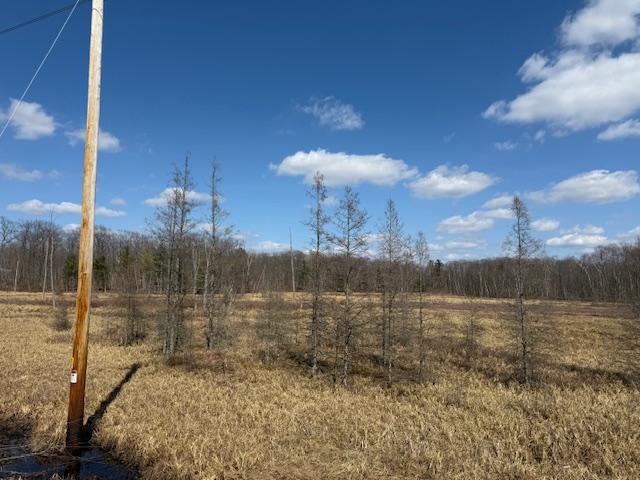 image2(9).jpeg