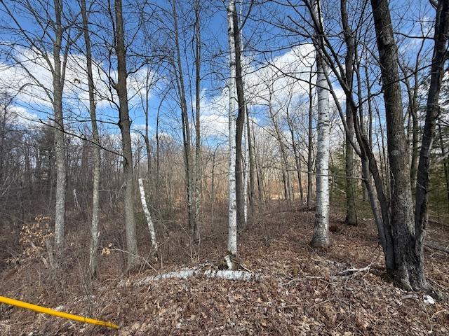 image6(6).jpeg