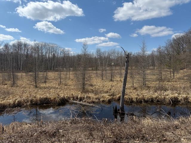 image7(6).jpeg