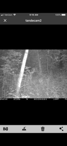 Trail cam