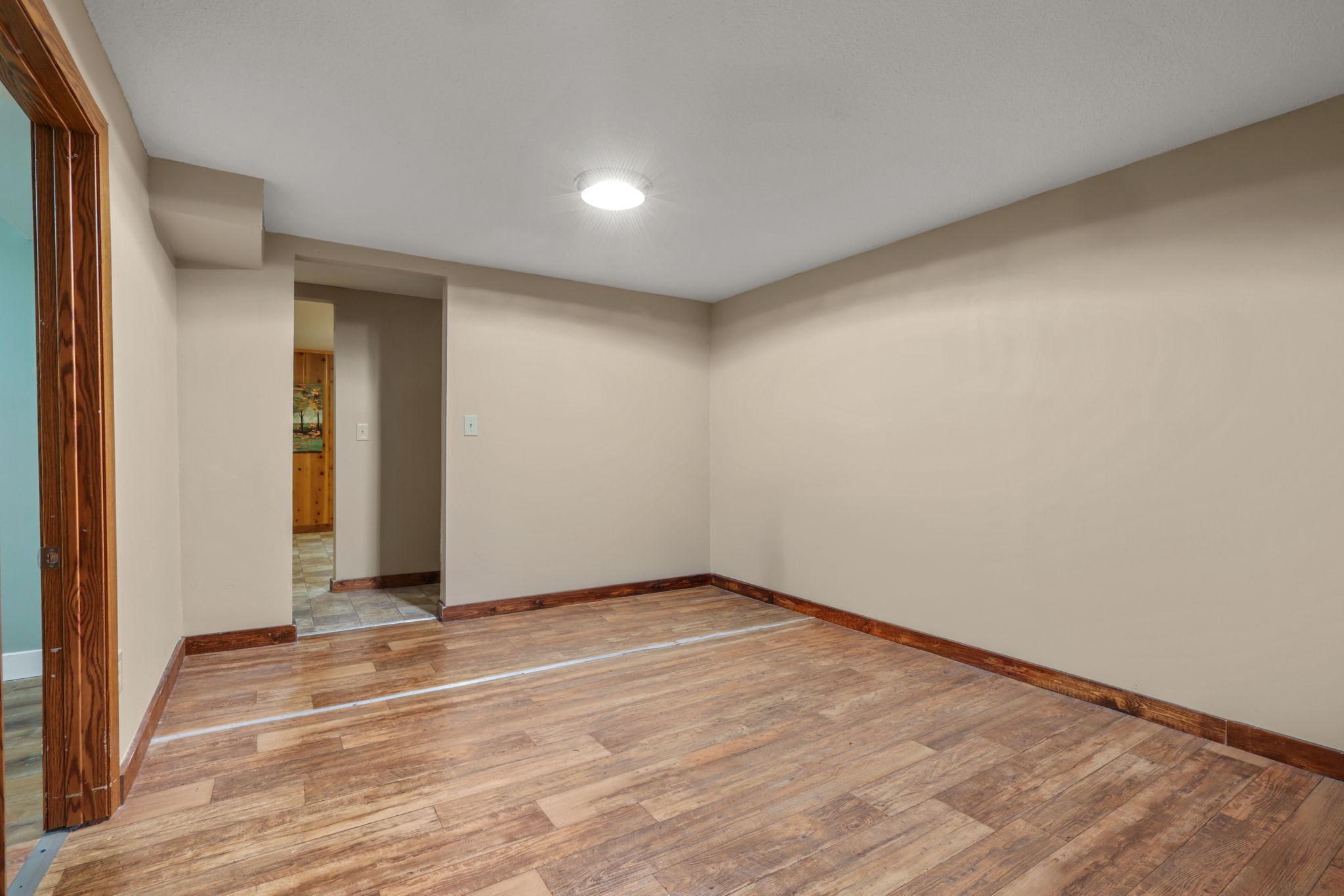 Lower Level Flex Space