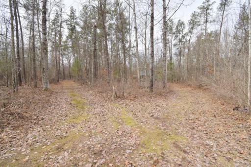 9274 Black Brook Road, Webster, WI 54893