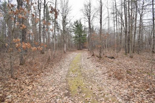 9274 Black Brook Road, Webster, WI 54893