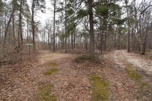 9274 Black Brook Road, Webster, WI 54893