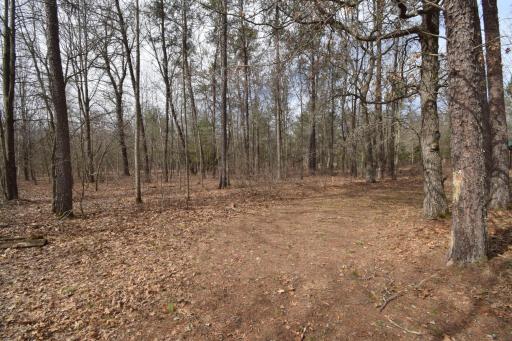 9274 Black Brook Road, Webster, WI 54893