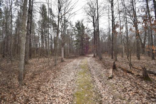 9274 Black Brook Road, Webster, WI 54893