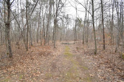 9274 Black Brook Road, Webster, WI 54893