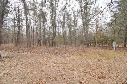 9274 Black Brook Road, Webster, WI 54893
