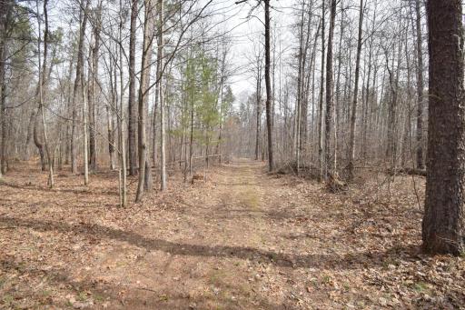 9274 Black Brook Road, Webster, WI 54893