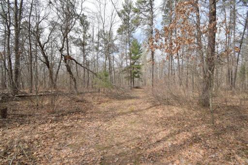 9274 Black Brook Road, Webster, WI 54893