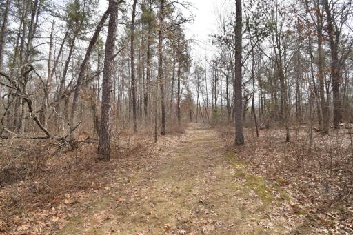 9274 Black Brook Road, Webster, WI 54893