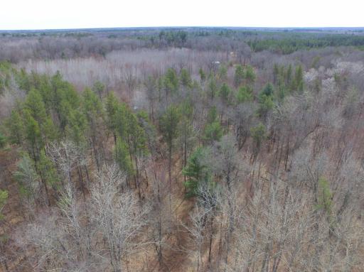 9274 Black Brook Road, Webster, WI 54893