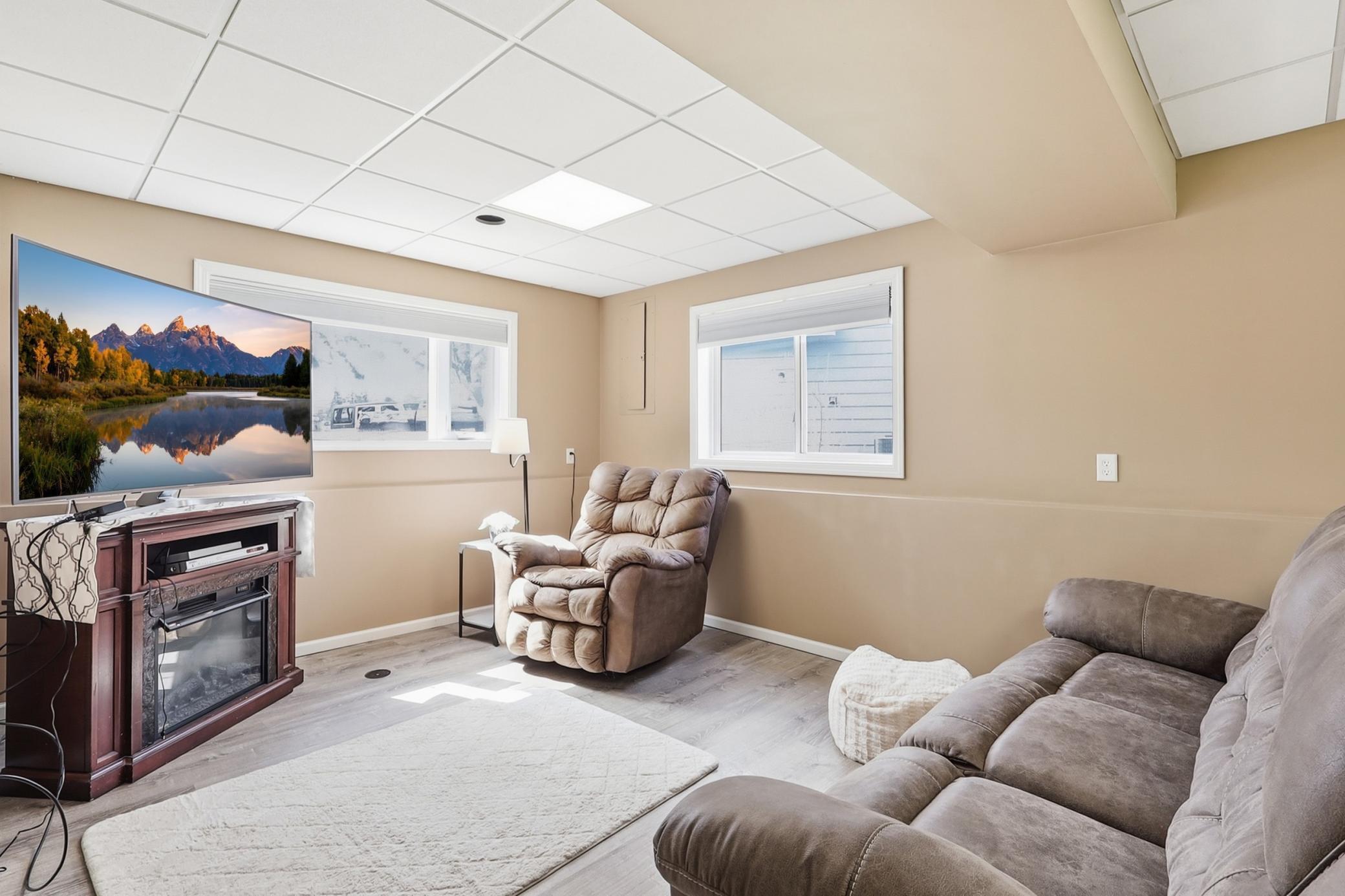 More of the lower level family room