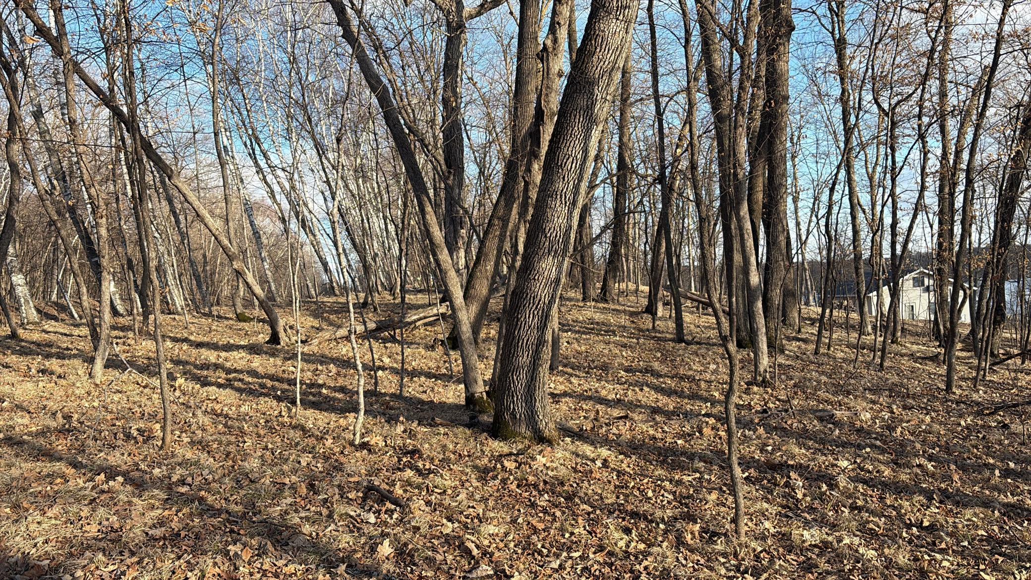 Pelican Lake Lot.jpg