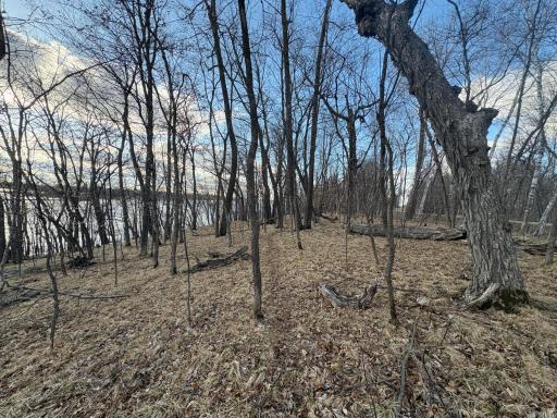 495XX Fish Lake Rd, Pelican Rapids, MN 56572
