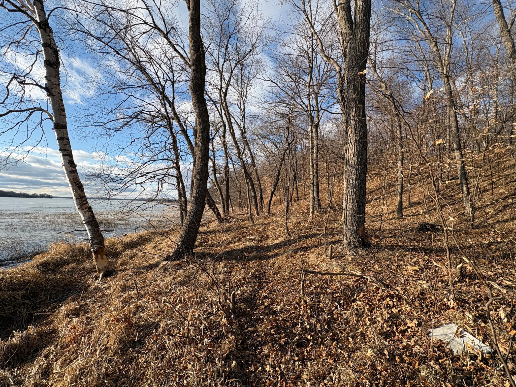 135 Feet Of Lake Frontage.JPG