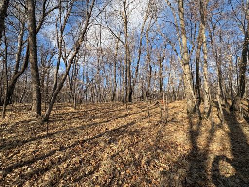 495XX Fish Lake Rd, Pelican Rapids, MN 56572