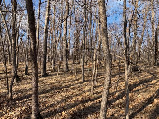 495XX Fish Lake Rd, Pelican Rapids, MN 56572