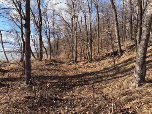 495XX Fish Lake Rd, Pelican Rapids, MN 56572